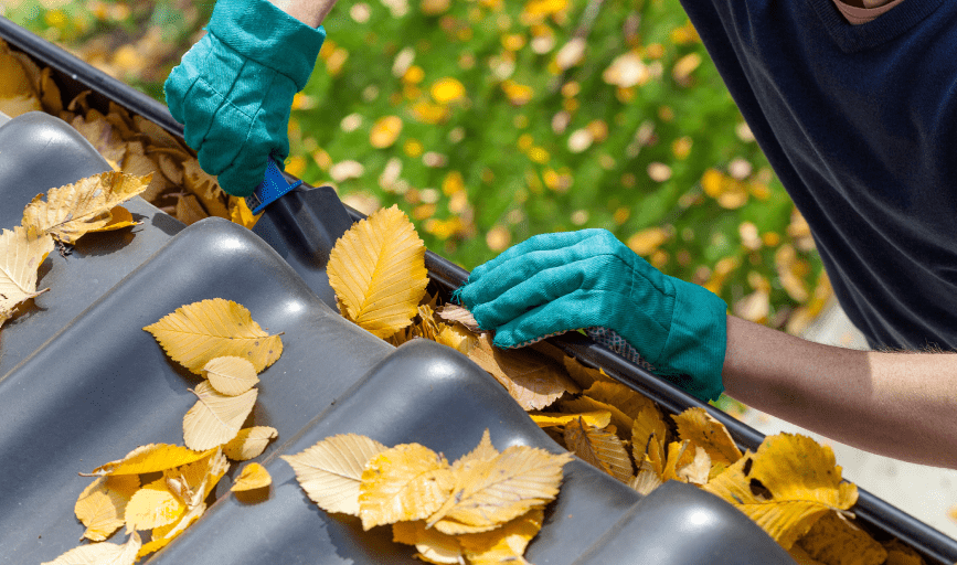 OMC Roofing